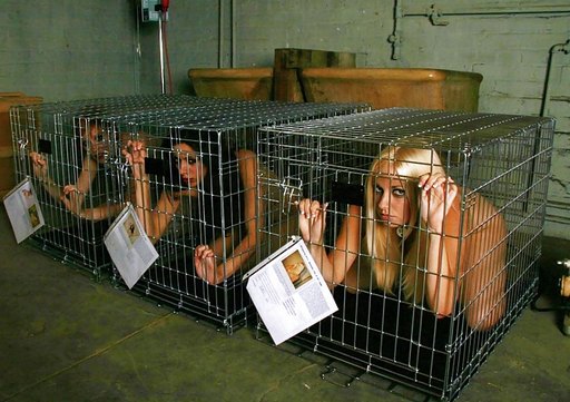 Caged Bdsm