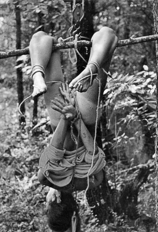bondage girl hanging in the forest to attract bears