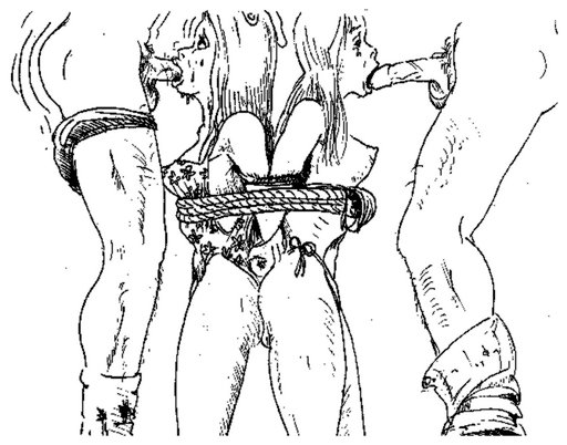 zerns double bondage blowjob art