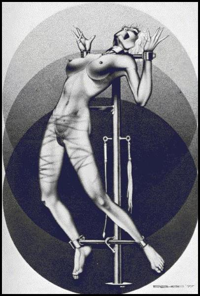 Robert Bishop art makes a frame for a whipped girl
