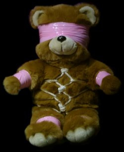 tied up teddy bear