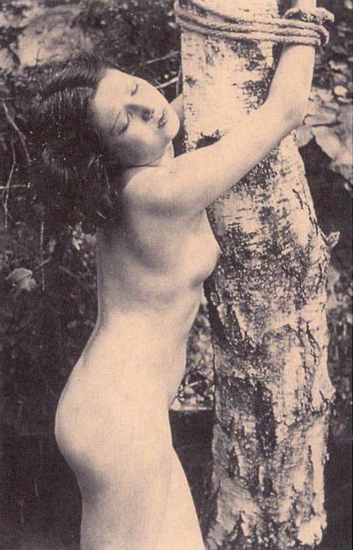 vintage naked woman tied to a rough-barked tree