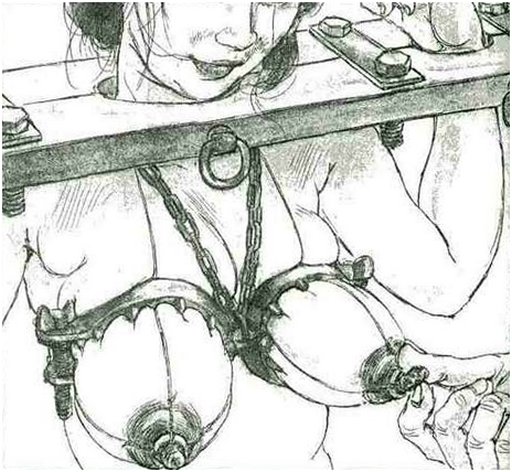 breast torment restraints