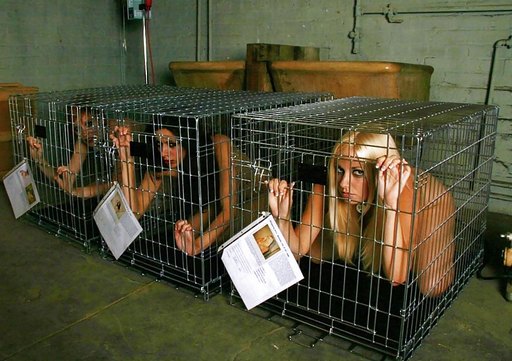 three slavegirls in cages