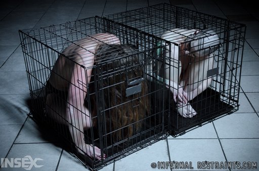 hackers in cages