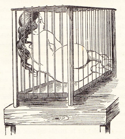 table top cage with nude woman