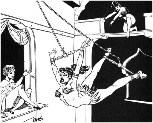 eneg bondage trapeze