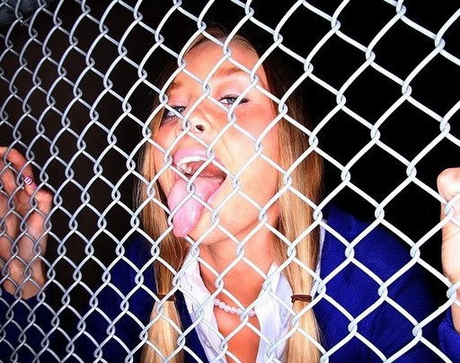 fence-licker