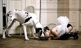 girl shares dinner with large male dog