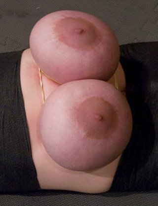 big breasts in bondage