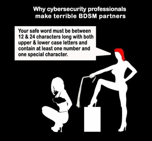 cybersecurity bdsm cartoon