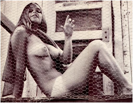 hippie chick mostly naked and trapped in a chicken wire farm outbuilding