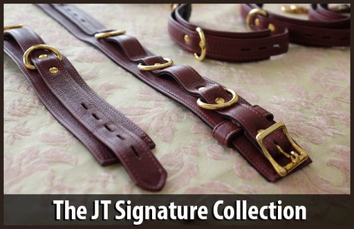 Jt signature collection black and gold leather bondage restraints