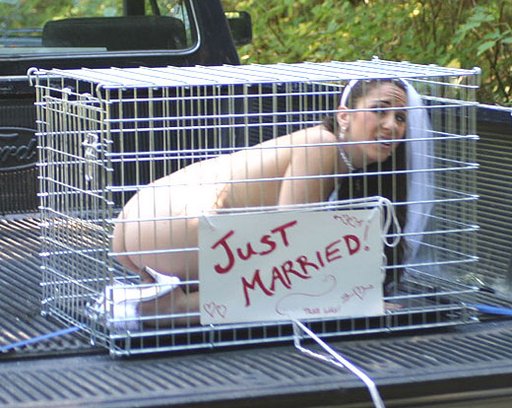 just-married-bride-in-kennel