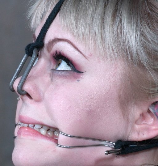 nose hook and fish hook gag