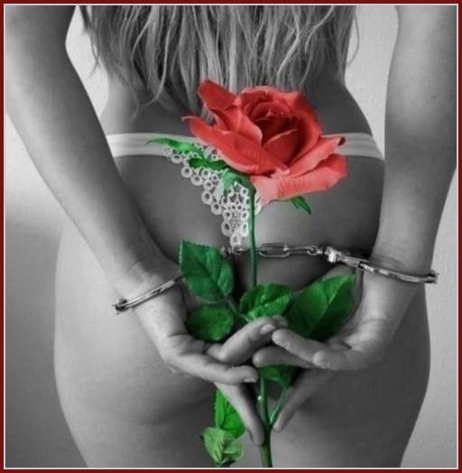 handcuffed woman in lingerie holding a single rose