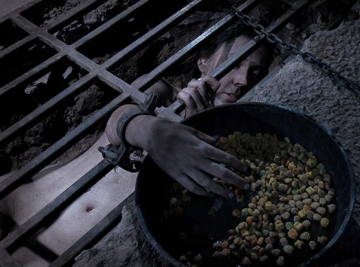 dog food eating chained in a pit