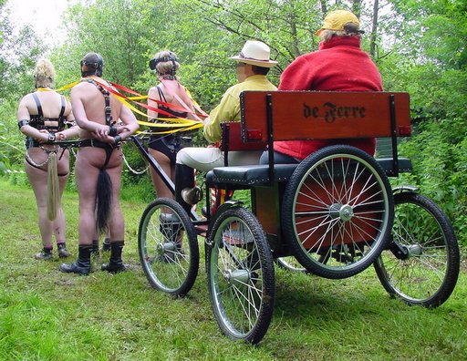 pony cart play in Wales
