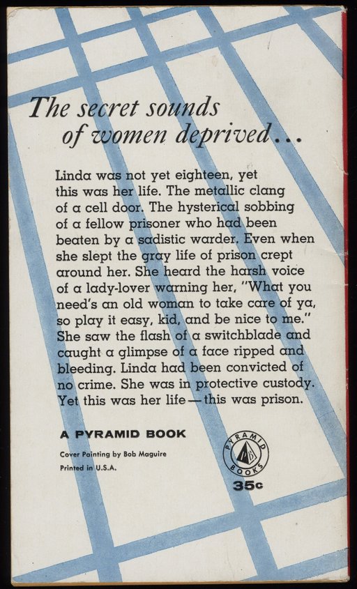 back cover of prison girl book