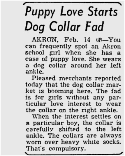 newspaper article about dog collars as fashion accessory