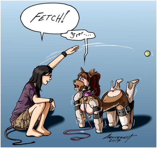 puppy girl in a bitch suit being taught to fetch