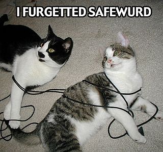 cats in bondage