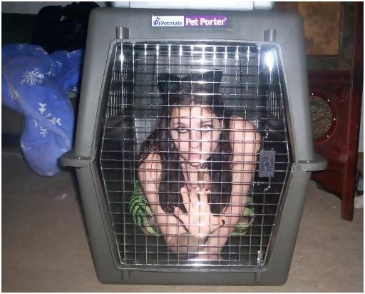 catgirl slave in a large pet kennel