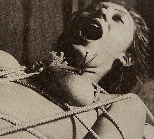 vintage nipple torment with bobby pin nipple clips