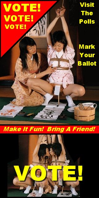 voting can be fun