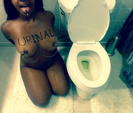 toilet attendant slave and human urinal