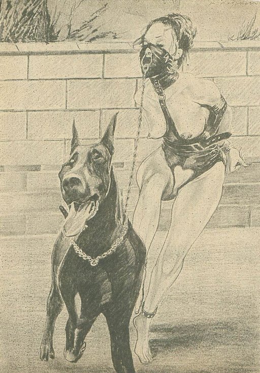 bdsm dog walking: bound slavegirl whose nose ring is affixed to the leash of an active and vigorous dog