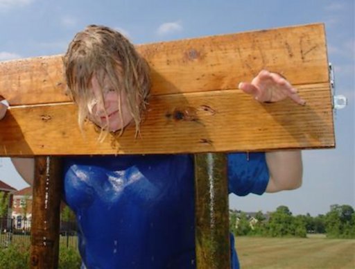 wet pillory wench or angry housewife? Why not both?